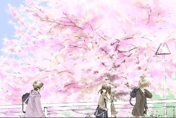草莓丝瓜芭乐绿巨人樱桃秋葵